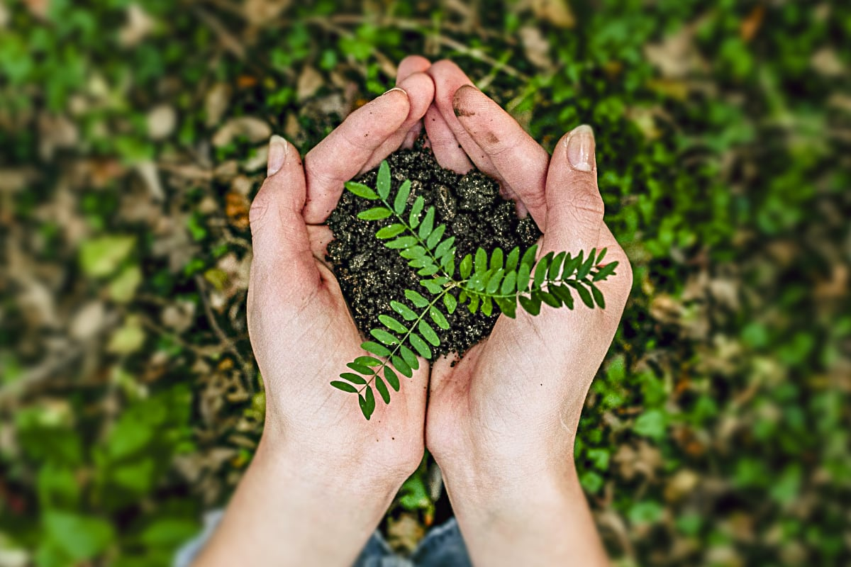 Sustainability Strategy